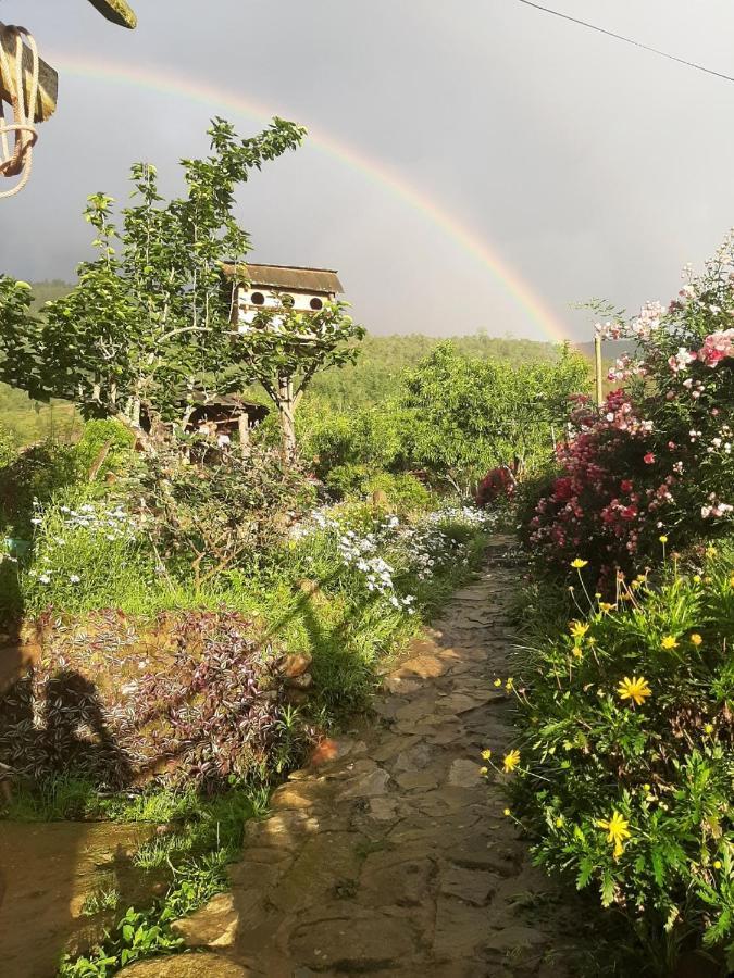 H'Mong Co Tran Sapa Homestay المظهر الخارجي الصورة