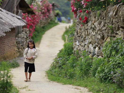 H'Mong Co Tran Sapa Homestay المظهر الخارجي الصورة