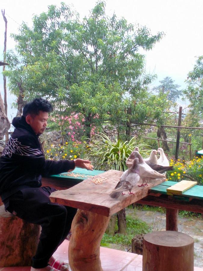 H'Mong Co Tran Sapa Homestay المظهر الخارجي الصورة
