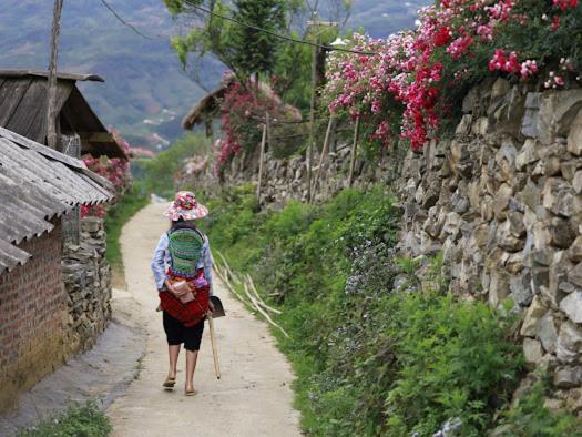 H'Mong Co Tran Sapa Homestay المظهر الخارجي الصورة