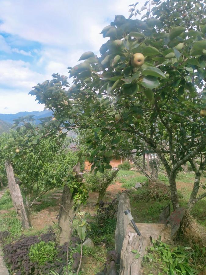 H'Mong Co Tran Sapa Homestay المظهر الخارجي الصورة