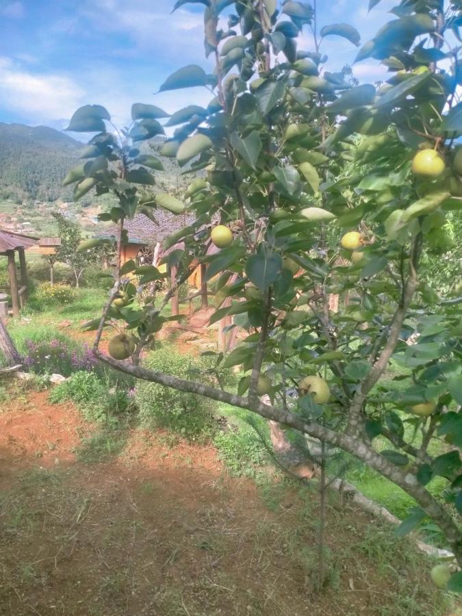 H'Mong Co Tran Sapa Homestay المظهر الخارجي الصورة